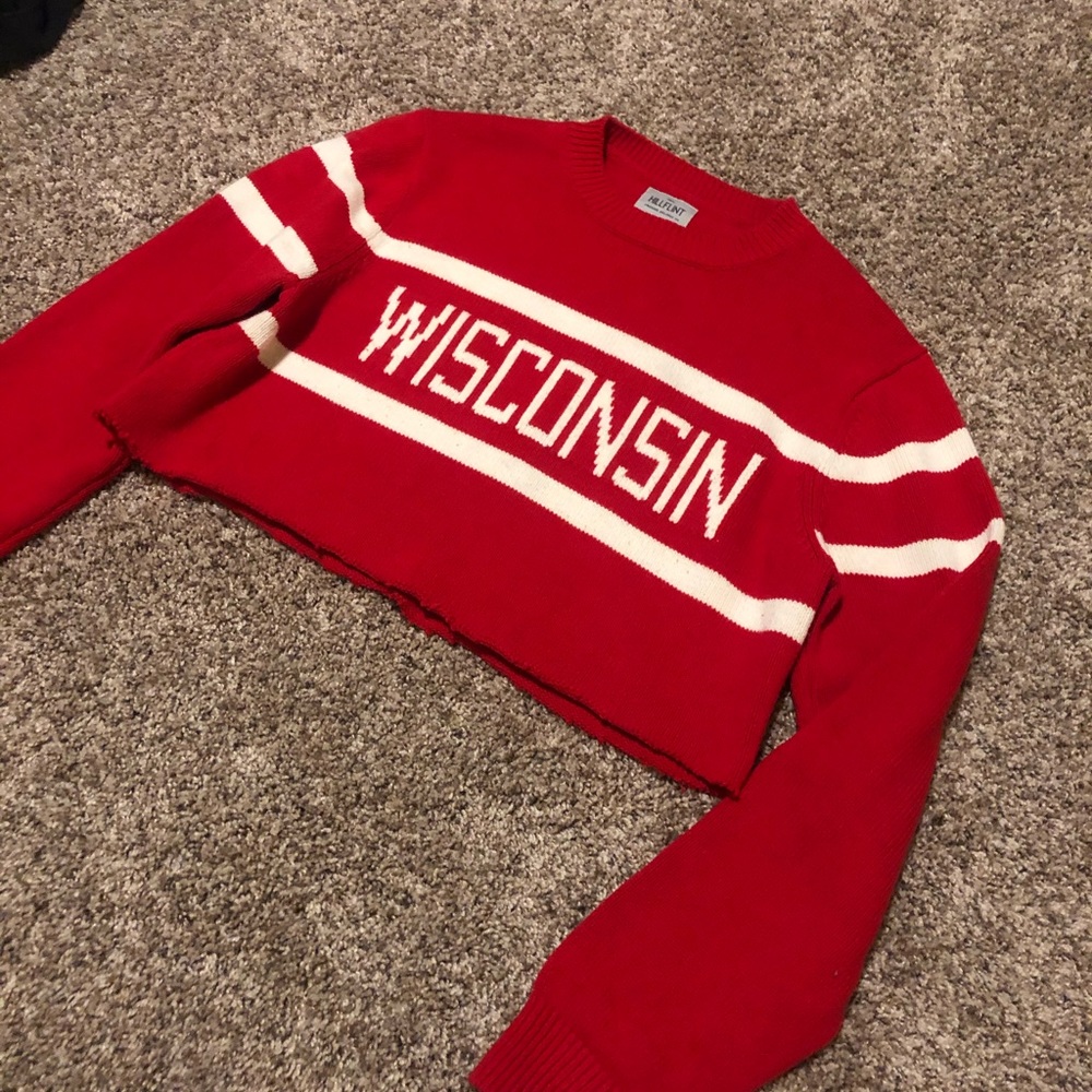 Vintage Wisconsin Badger Crop Sweater